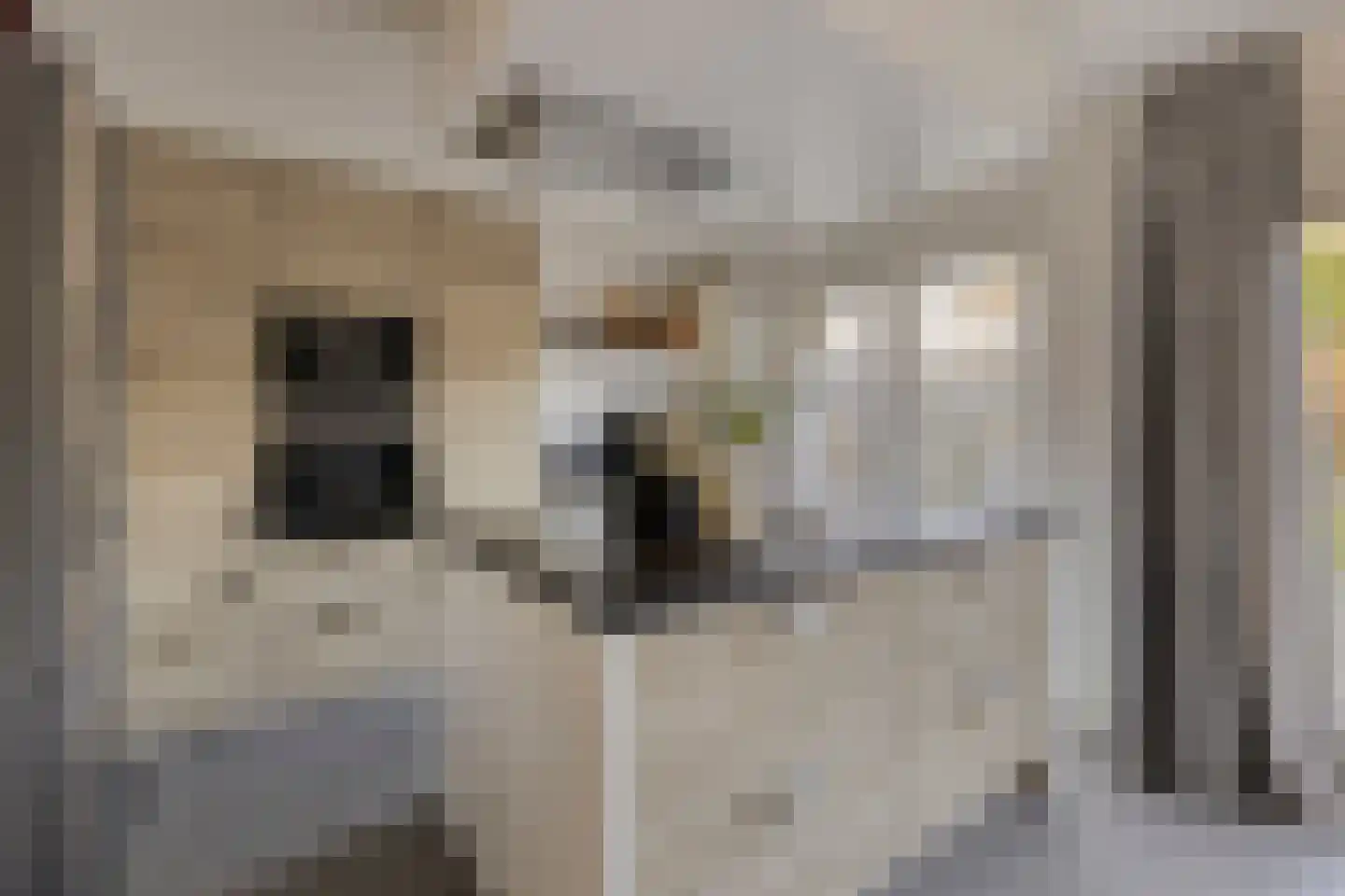 Meeuwenlaan 20 Made thumbnail 16