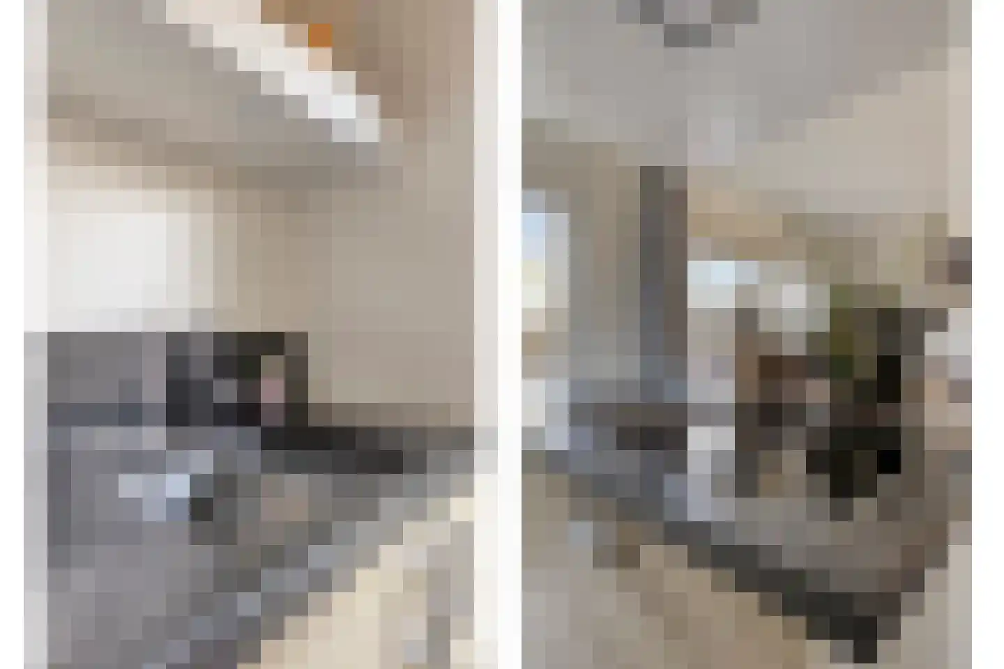 Meeuwenlaan 20 Made thumbnail 17