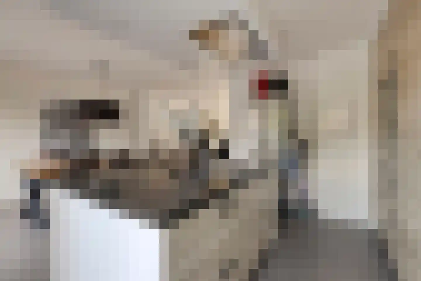 Meeuwenlaan 20 Made thumbnail 18