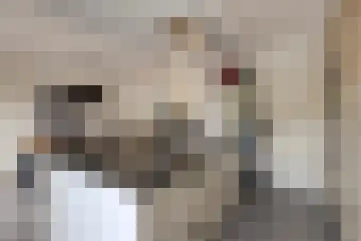 Meeuwenlaan 20 Made thumbnail 18