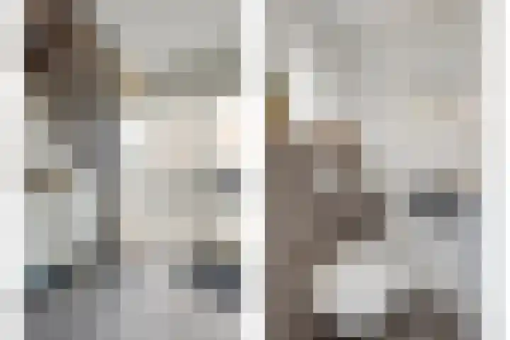 Meeuwenlaan 20 Made thumbnail 20