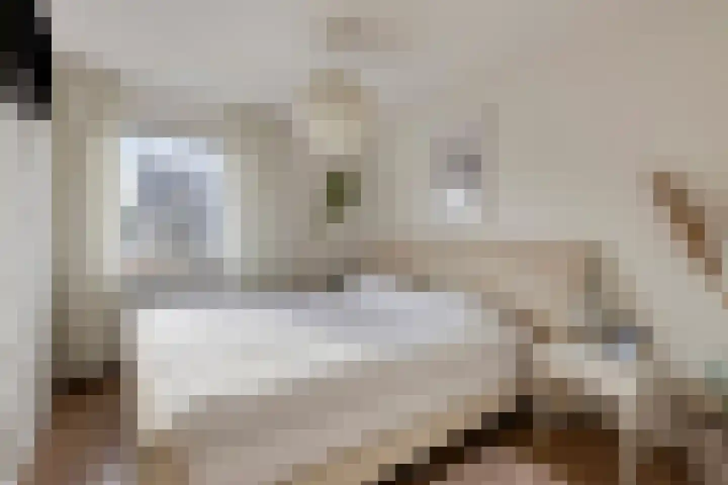 Meeuwenlaan 20 Made thumbnail 22