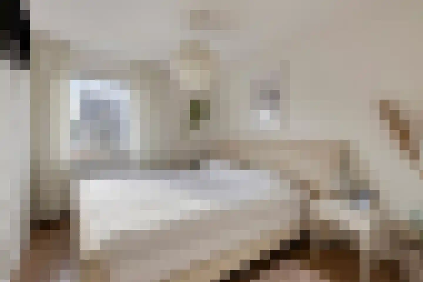 Meeuwenlaan 20 Made thumbnail 22