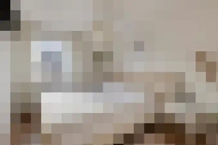 Meeuwenlaan 20 Made thumbnail 22