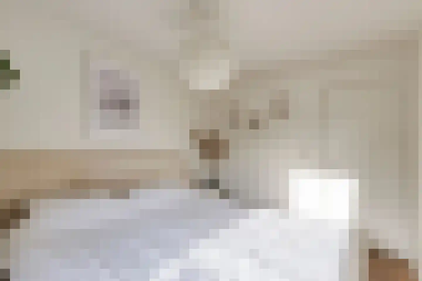 Meeuwenlaan 20 Made thumbnail 23