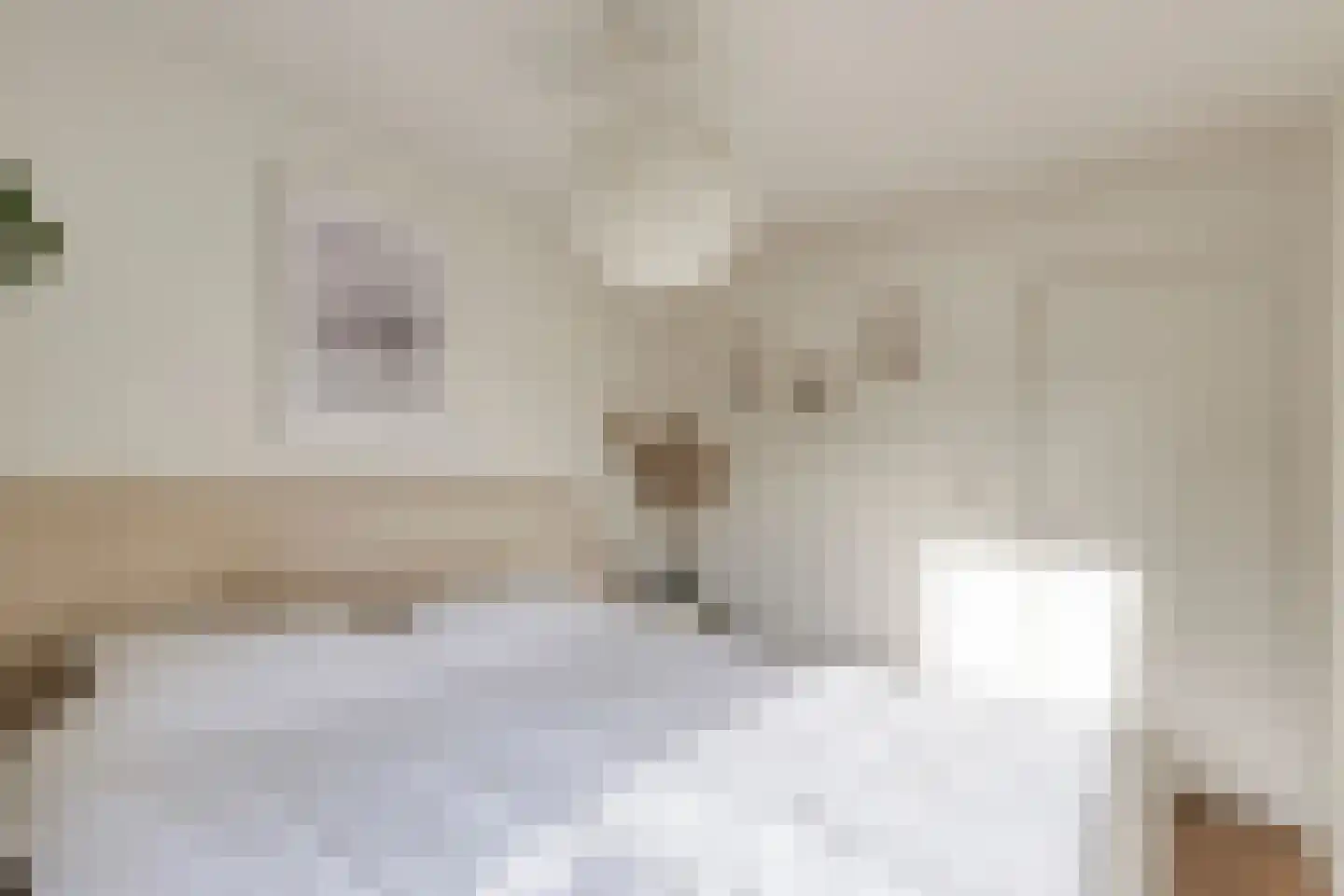 Meeuwenlaan 20 Made thumbnail 23