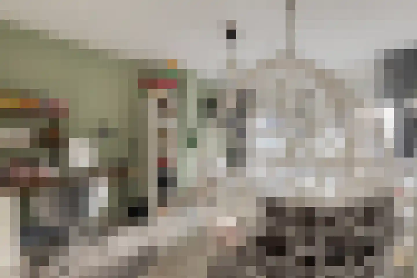 Meeuwenlaan 20 Made thumbnail 24