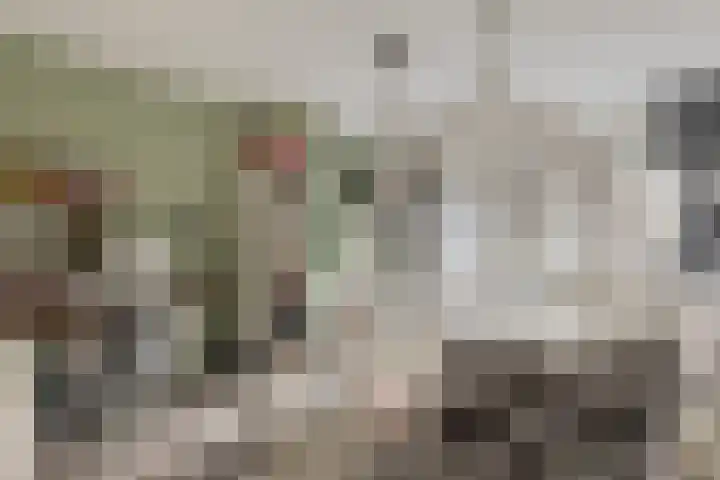 Meeuwenlaan 20 Made thumbnail 24