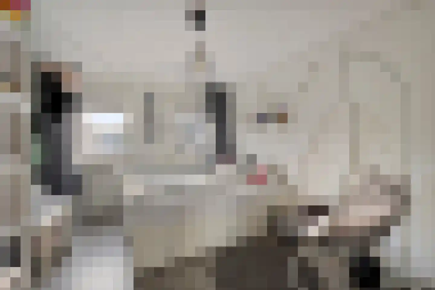 Meeuwenlaan 20 Made thumbnail 25