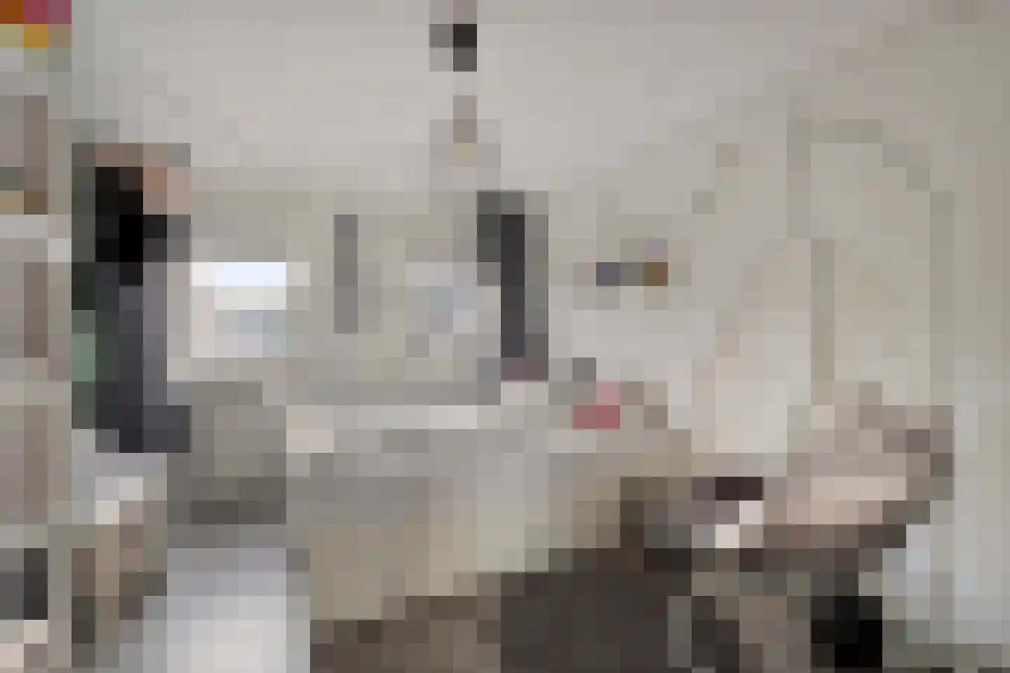 Meeuwenlaan 20 Made thumbnail 25