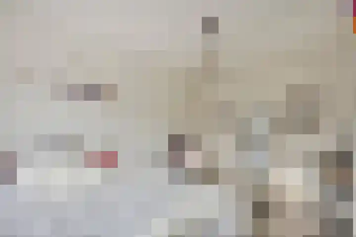 Meeuwenlaan 20 Made thumbnail 26