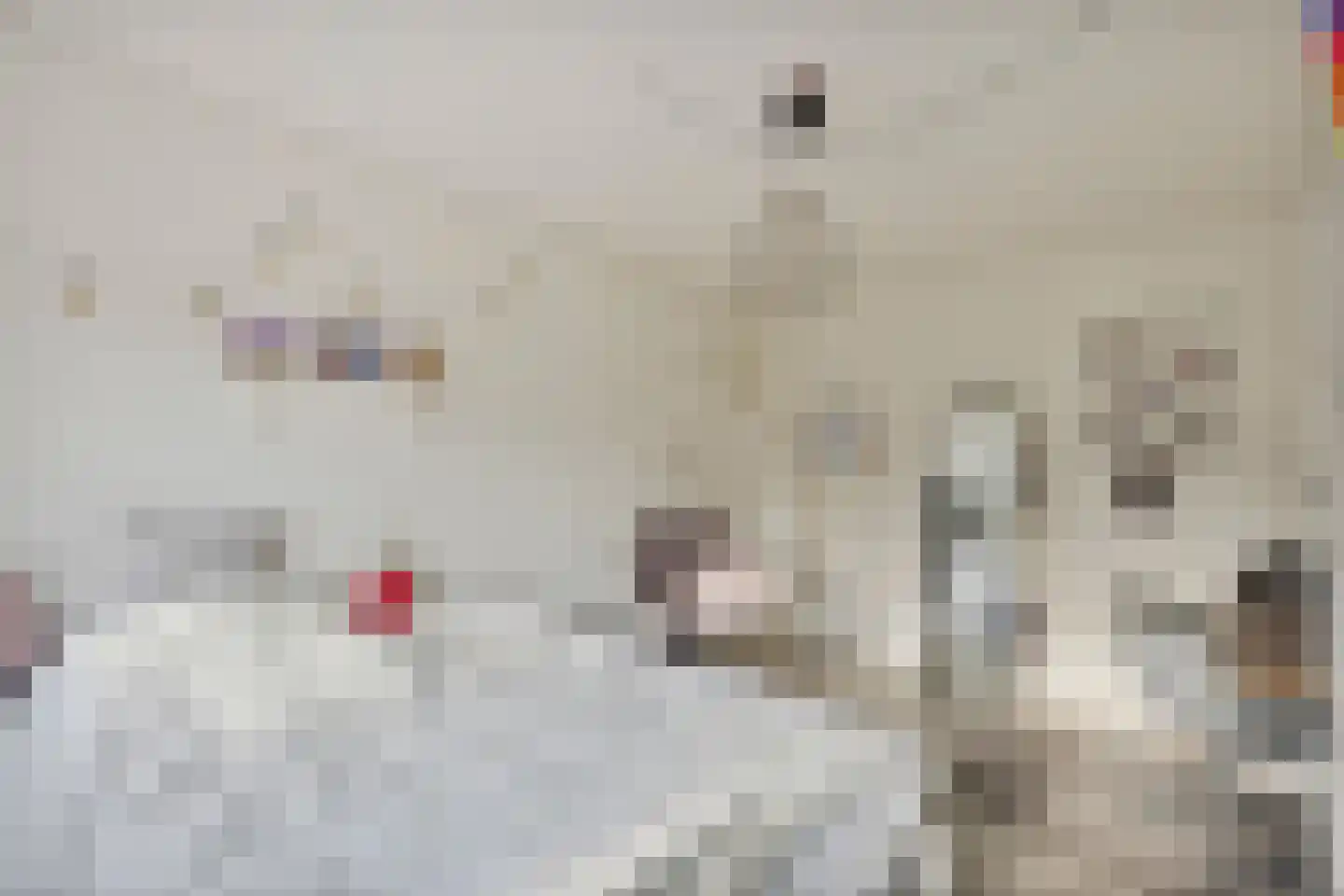 Meeuwenlaan 20 Made thumbnail 26