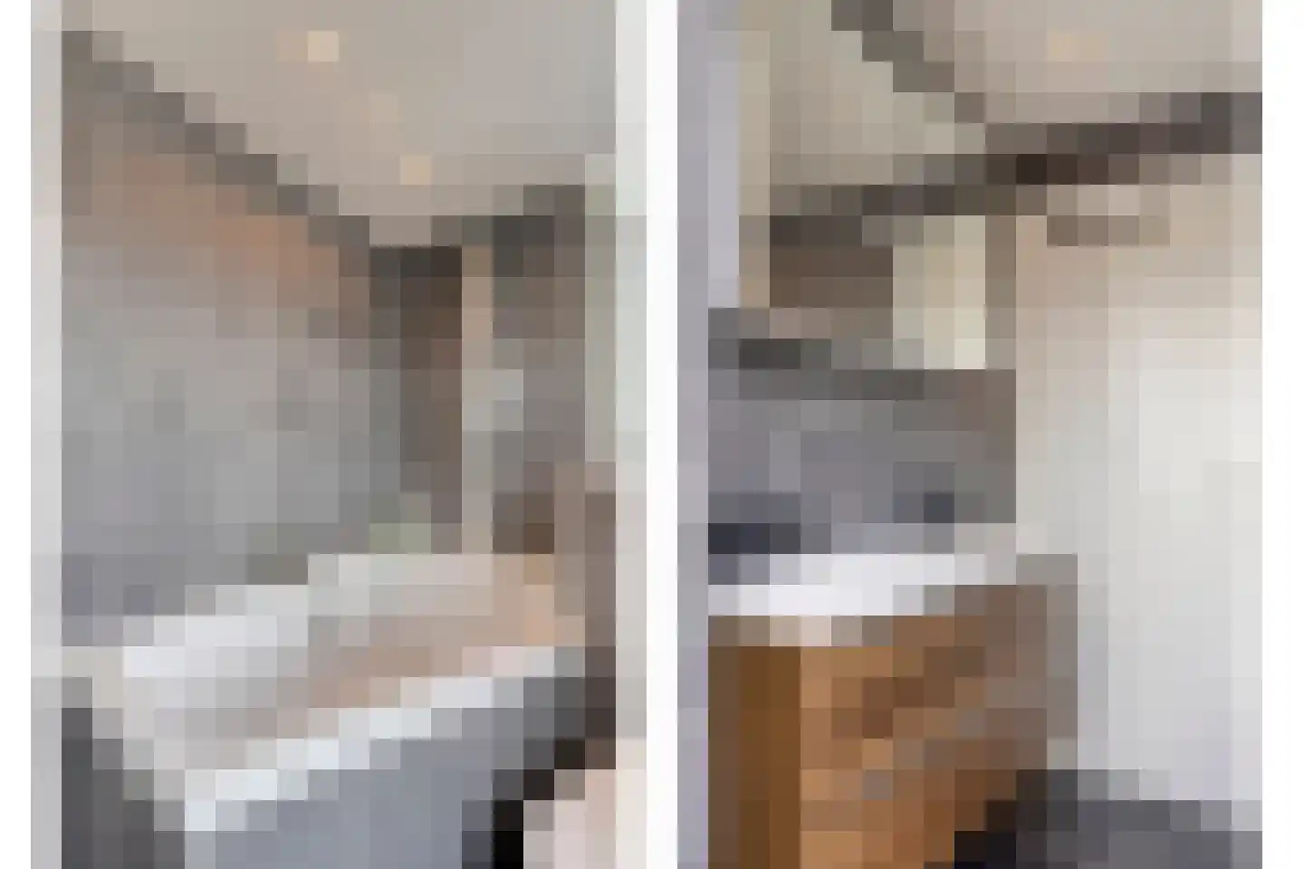 Meeuwenlaan 20 Made thumbnail 31