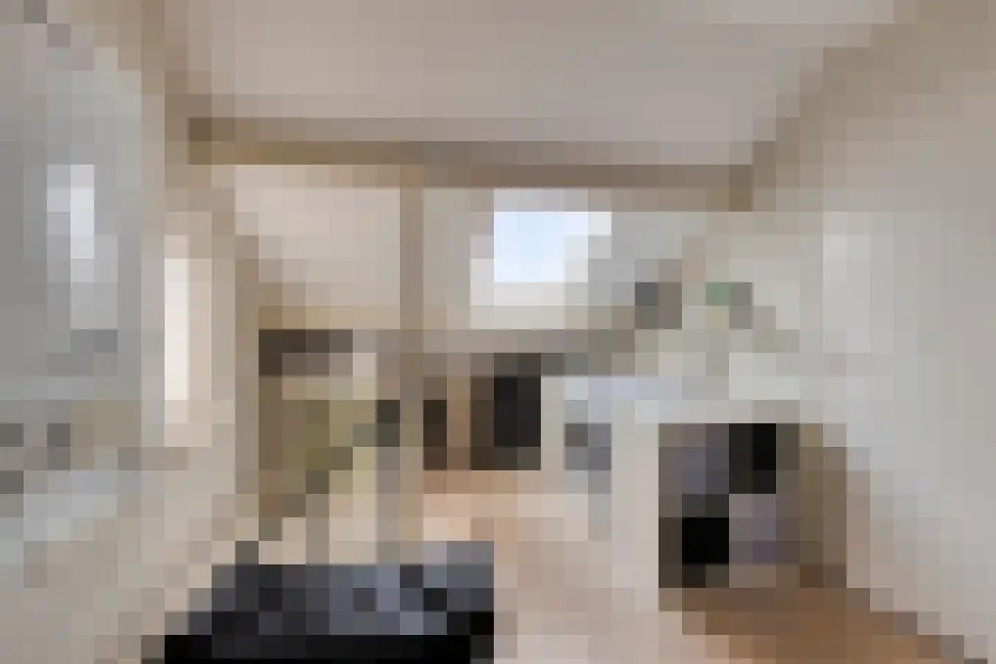 Meeuwenlaan 20 Made thumbnail 33
