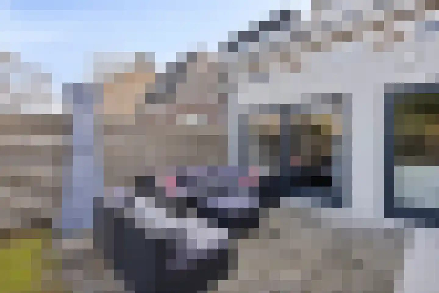 Meeuwenlaan 20 Made thumbnail 38