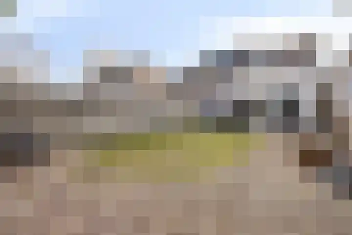 Meeuwenlaan 20 Made thumbnail 40