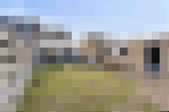 Meeuwenlaan 20 Made thumbnail 42