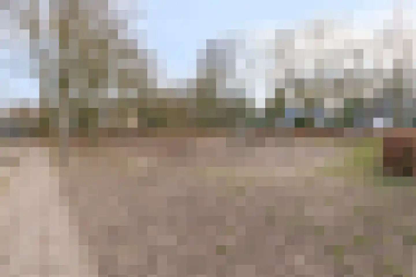 Meeuwenlaan 20 Made thumbnail 45