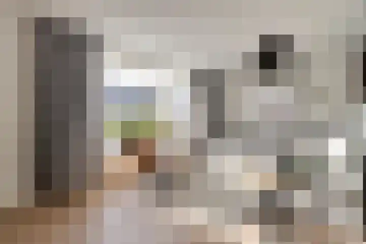 Meeuwenlaan 20 Made thumbnail 6