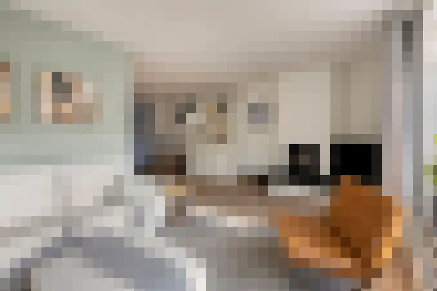 Meeuwenlaan 20 Made thumbnail 8