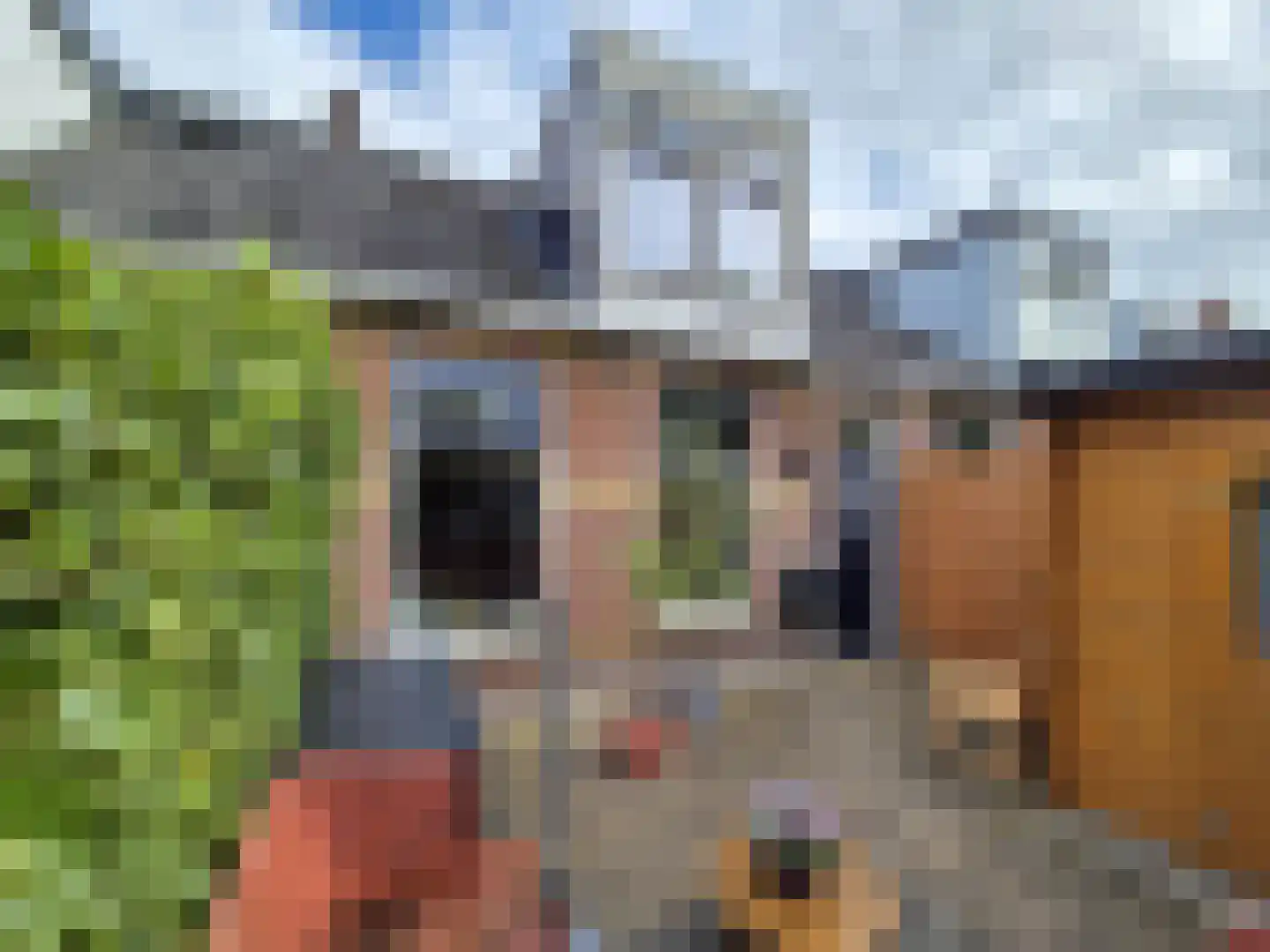 Meeuwenlaan 21 Sneek