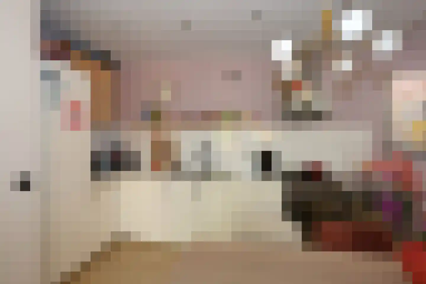 Meeuwenlaan 21 Sneek thumbnail 11