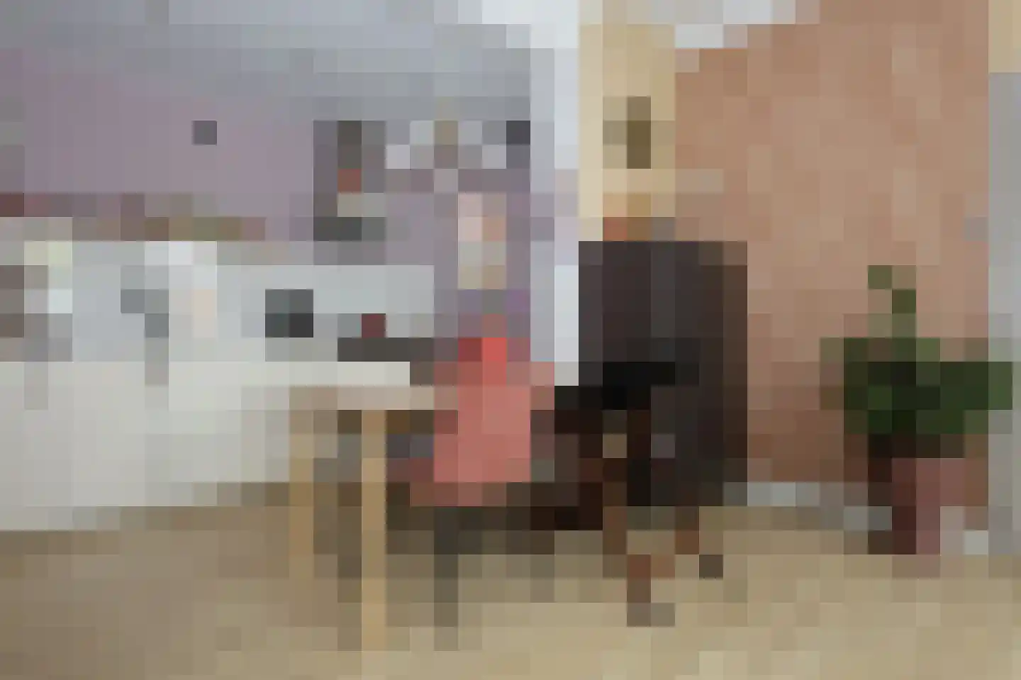 Meeuwenlaan 21 Sneek thumbnail 12