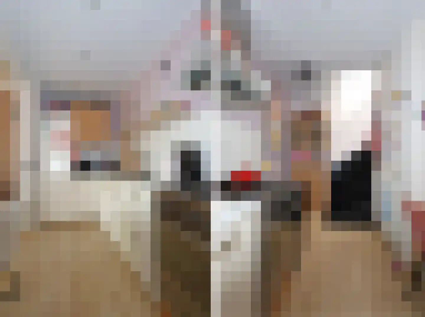 Meeuwenlaan 21 Sneek thumbnail 13