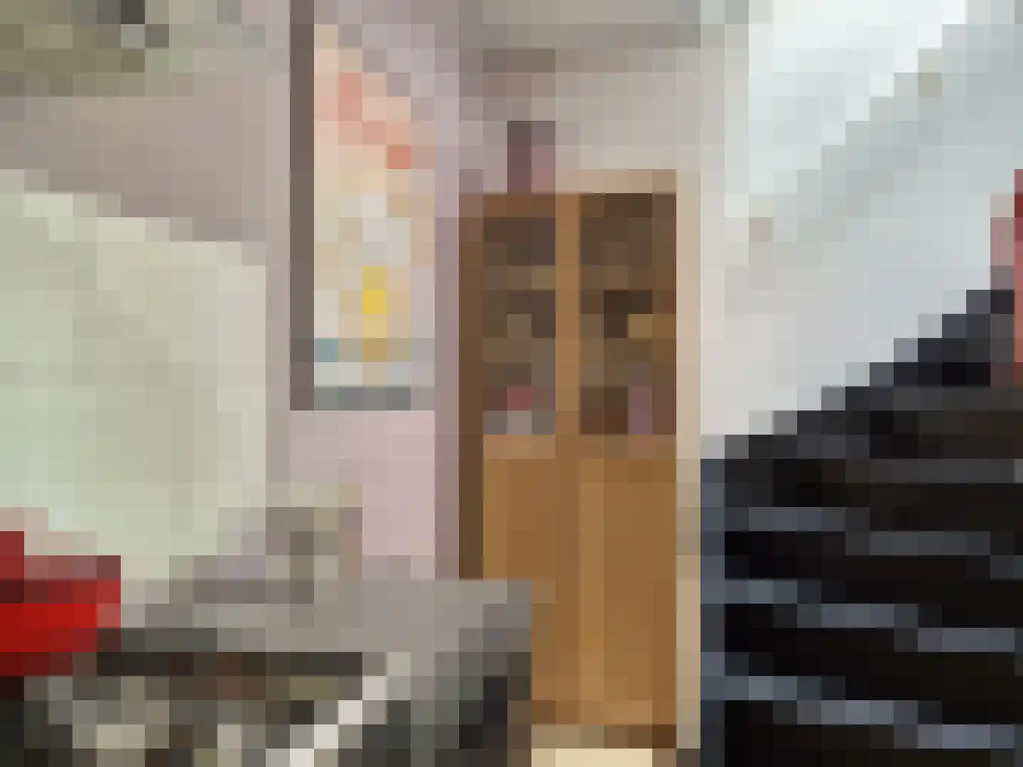 Meeuwenlaan 21 Sneek thumbnail 14