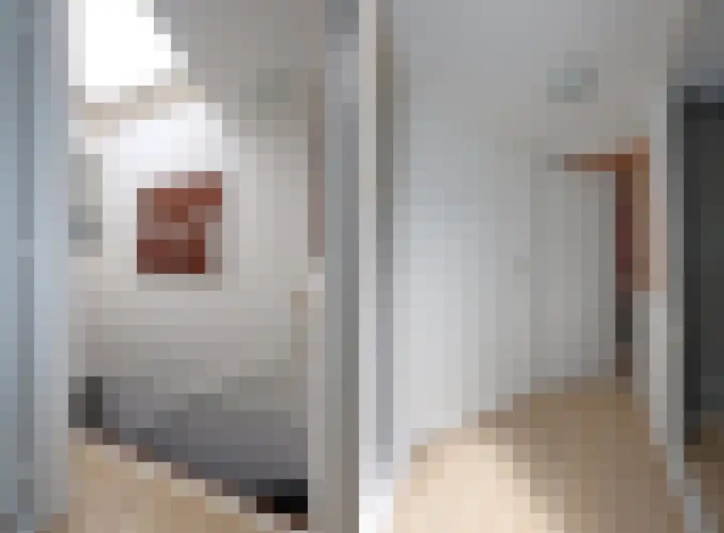 Meeuwenlaan 21 Sneek thumbnail 15