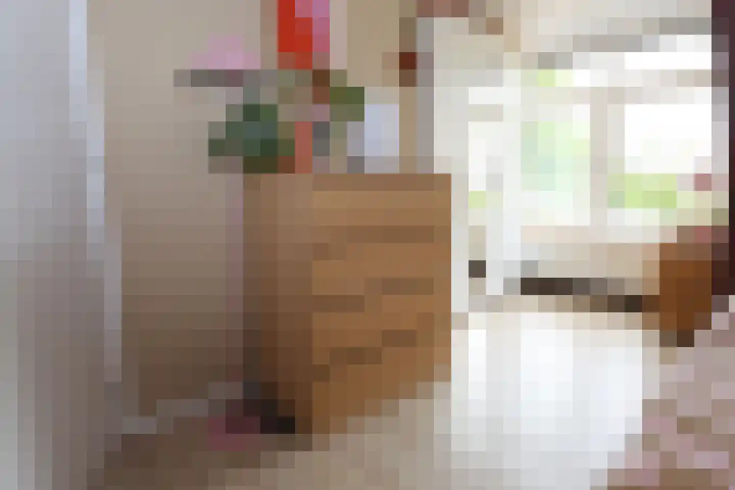 Meeuwenlaan 21 Sneek thumbnail 17