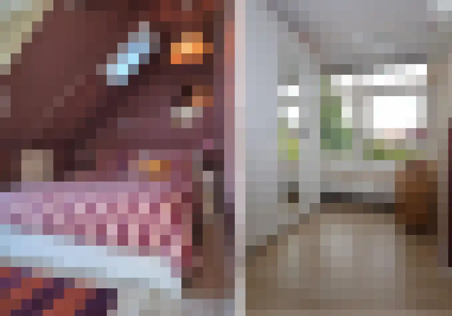Meeuwenlaan 21 Sneek thumbnail 18
