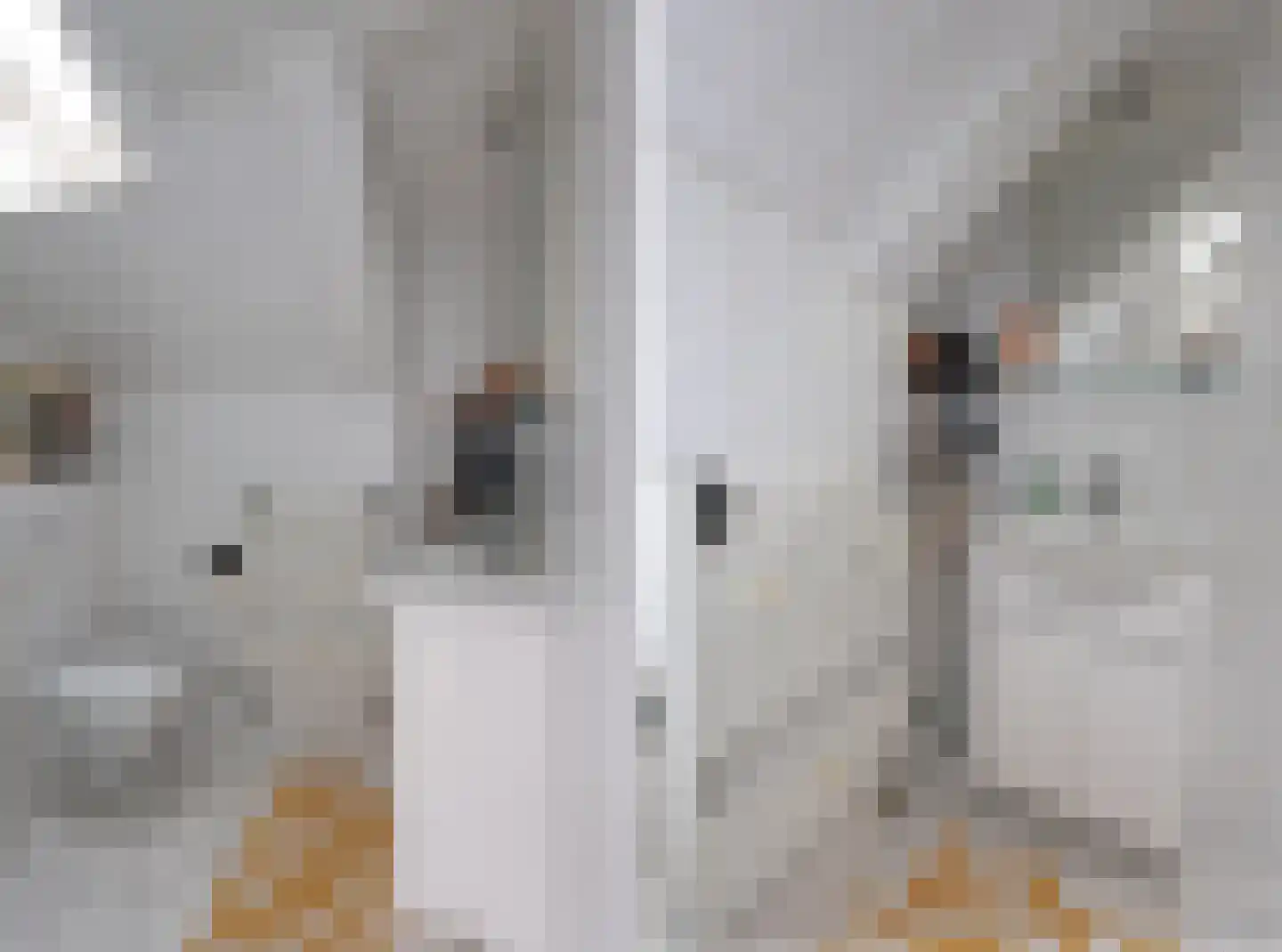 Meeuwenlaan 21 Sneek thumbnail 22