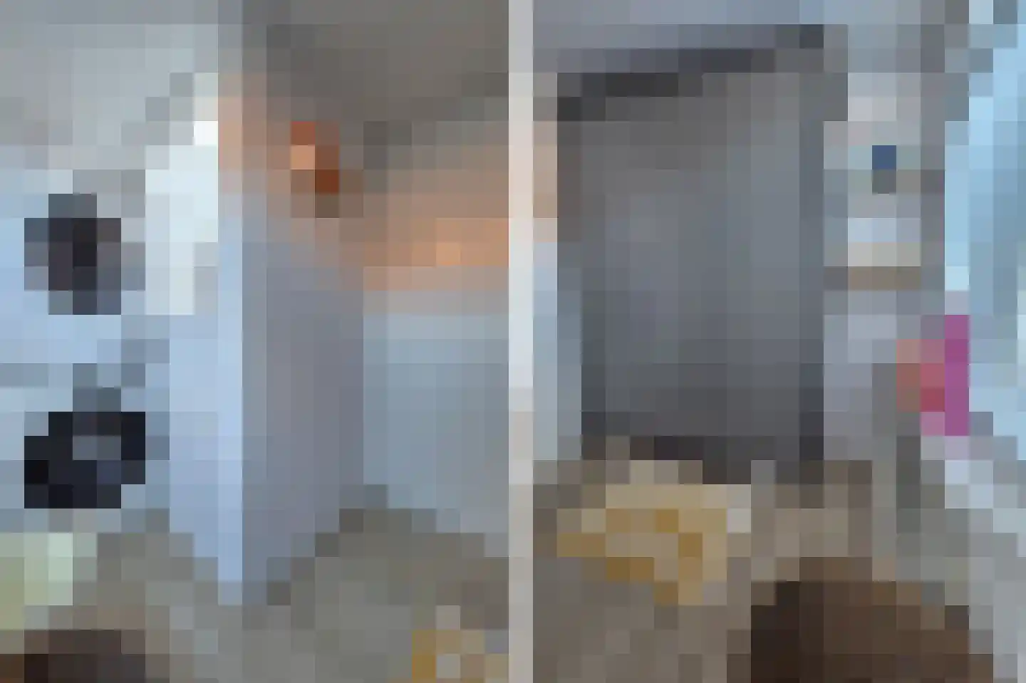 Meeuwenlaan 21 Sneek thumbnail 23