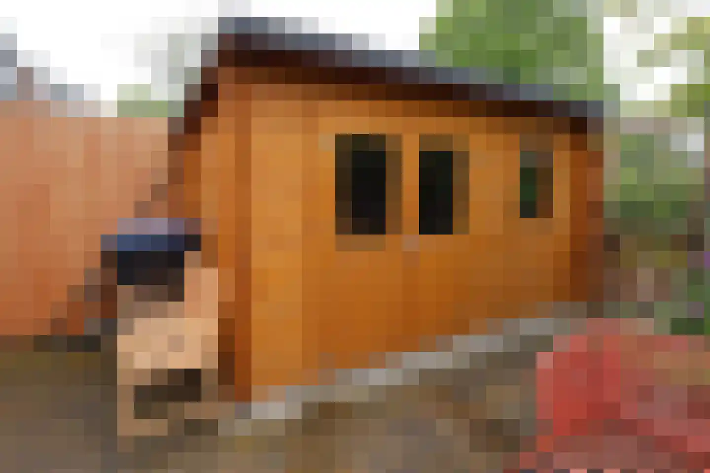 Meeuwenlaan 21 Sneek thumbnail 24