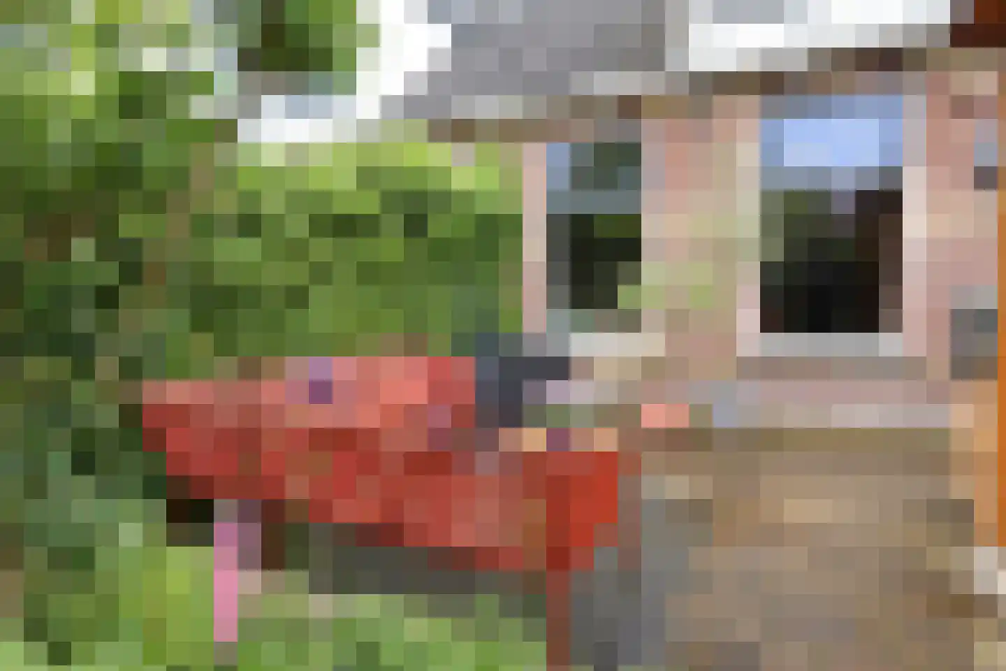 Meeuwenlaan 21 Sneek thumbnail 5
