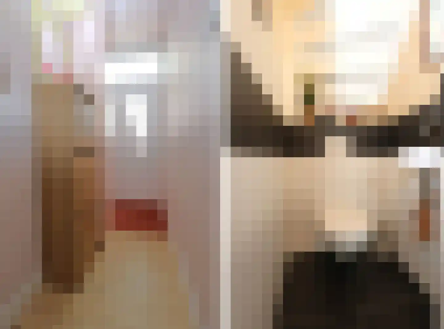 Meeuwenlaan 21 Sneek thumbnail 7