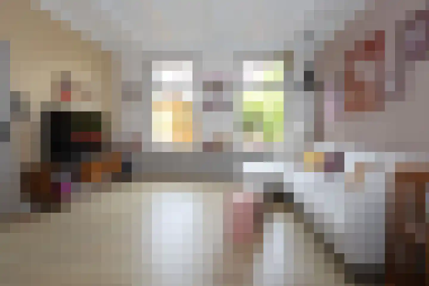 Meeuwenlaan 21 Sneek thumbnail 8