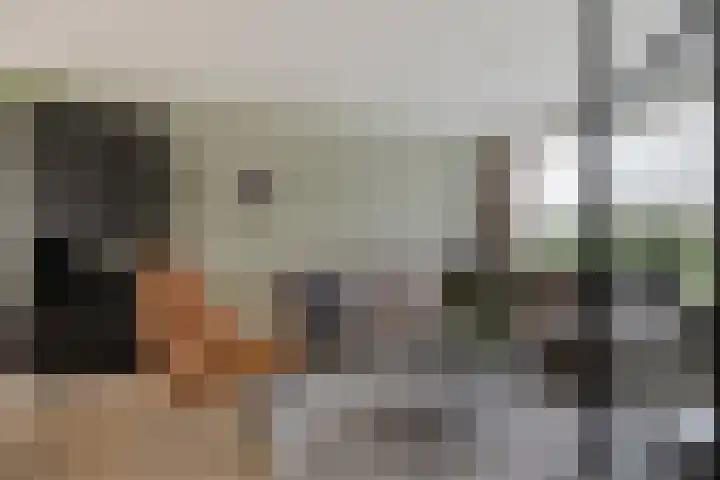 Meeuwenlaan 24 Noordwijkerhout thumbnail 12