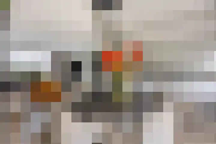 Meeuwenlaan 24 Noordwijkerhout thumbnail 14