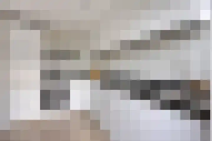 Meeuwenlaan 24 Noordwijkerhout thumbnail 17