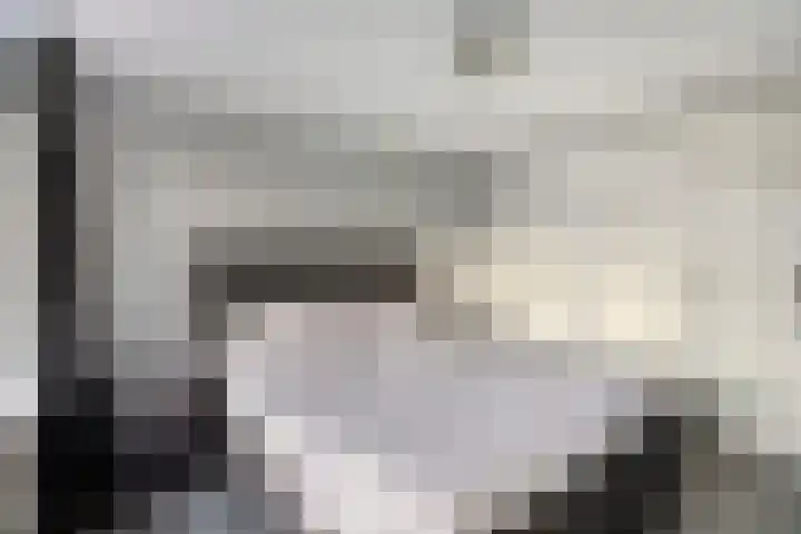 Meeuwenlaan 24 Noordwijkerhout thumbnail 22