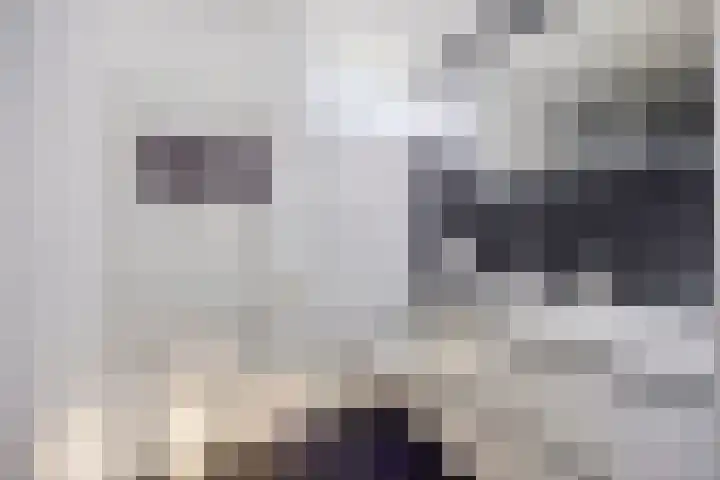 Meeuwenlaan 24 Noordwijkerhout thumbnail 25