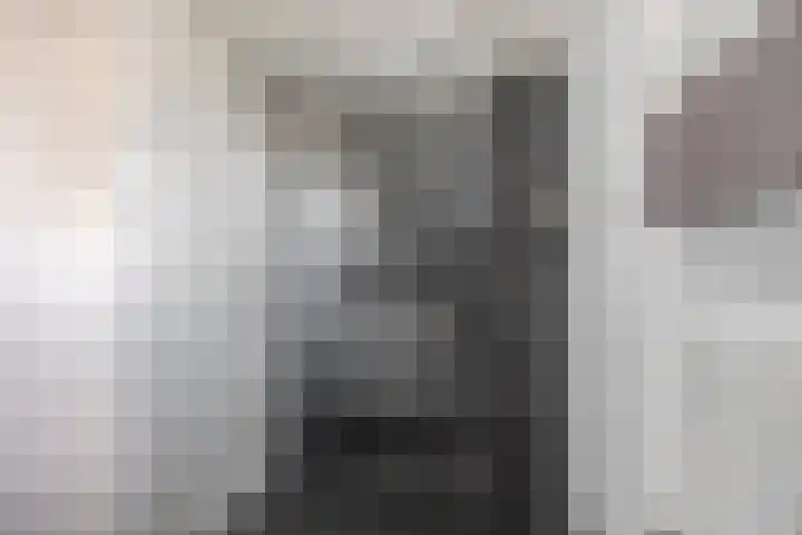 Meeuwenlaan 24 Noordwijkerhout thumbnail 26