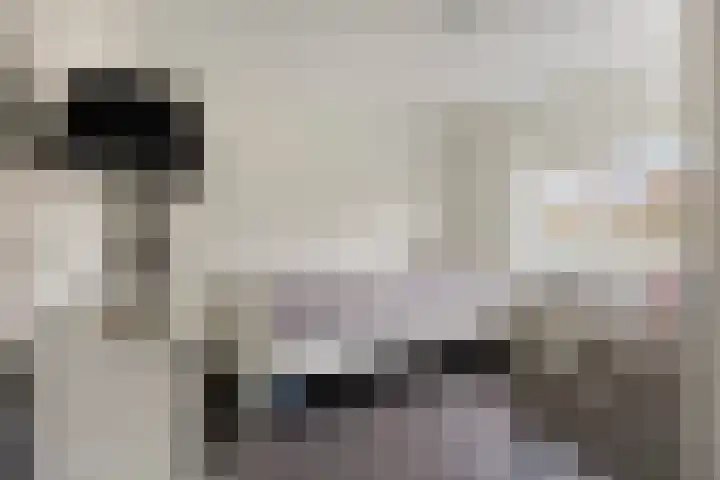Meeuwenlaan 24 Noordwijkerhout thumbnail 27