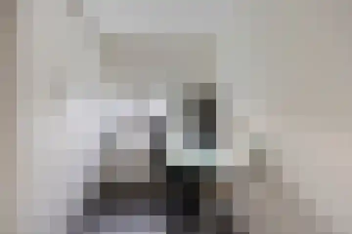 Meeuwenlaan 24 Noordwijkerhout thumbnail 29