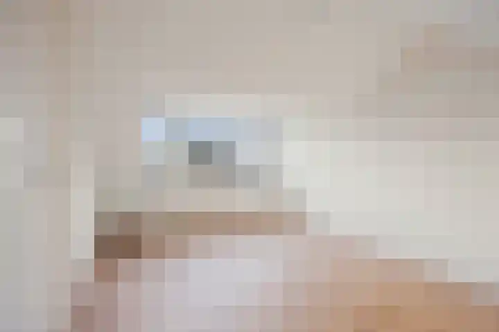 Meeuwenlaan 24 Noordwijkerhout thumbnail 32
