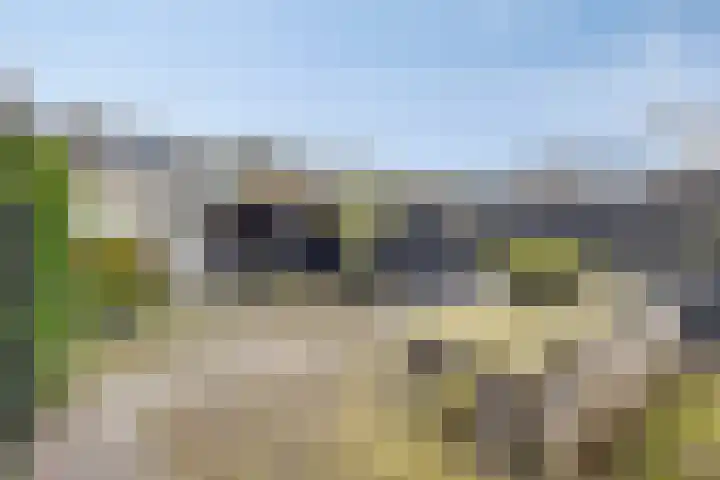 Meeuwenlaan 24 Noordwijkerhout thumbnail 34