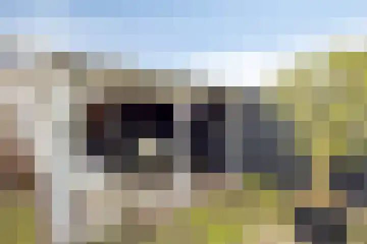 Meeuwenlaan 24 Noordwijkerhout thumbnail 35