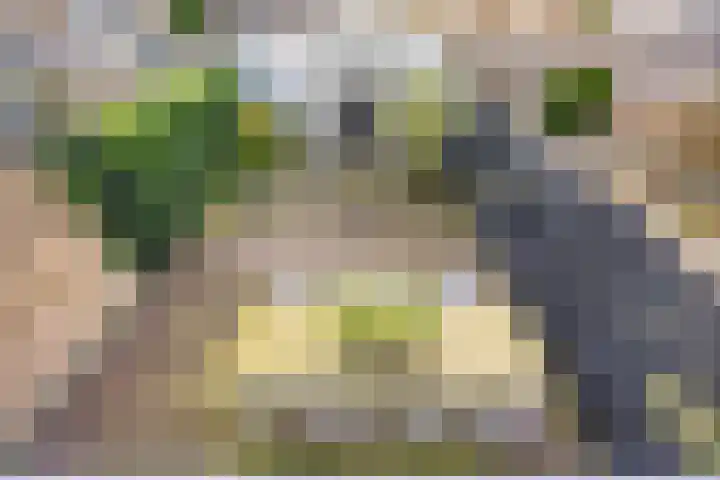 Meeuwenlaan 24 Noordwijkerhout thumbnail 39